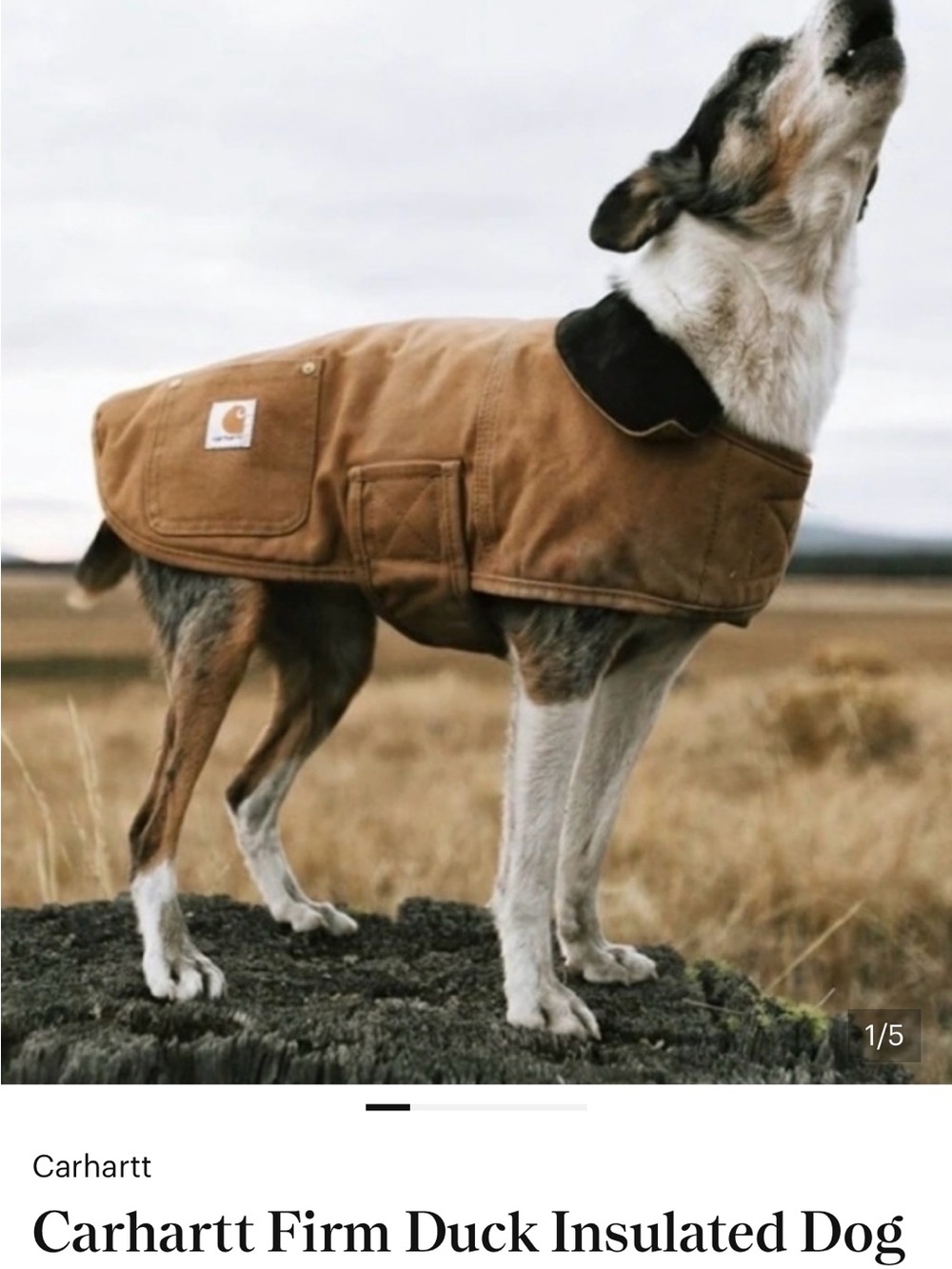Carhartt Firm Duck Insulated Dog Chore Coat-Distressed Fade-XL NWT